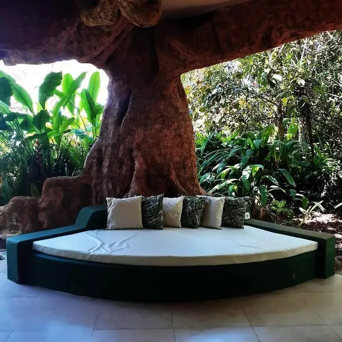 Casa Na Arvore A Beira-Mar Porto Seguro Prázdninový dům
